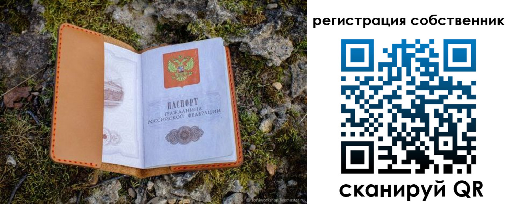 прописка поиск в Боре
